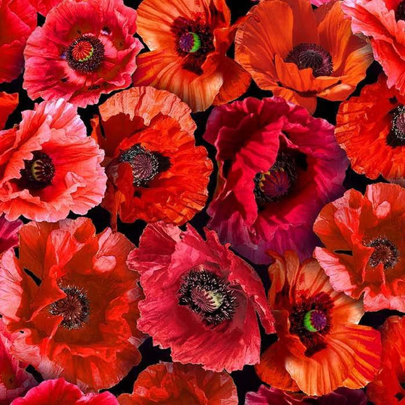 Michael Miller Fabrics Summer Wildflowers Poppy Love Ruby  DCX11770-RUBY-D