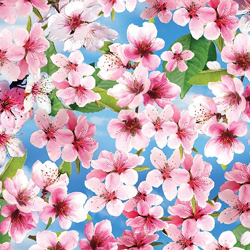 Kanvas Studio Cherry Hill Cherry Blossoms Blue  1431355B