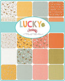 Lucky Jelly Roll 40 assorted pieces measuring 2.5x44" each