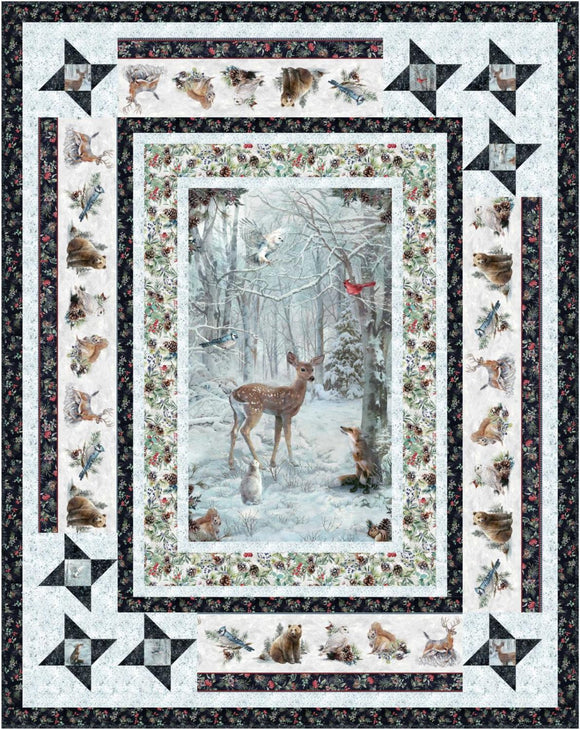 All Speckled With Stars Quilt Pattern finished size 65