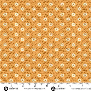 Andover Fabrics Pumpkin Licorice Pumpkin  Daisy     A-1101-O