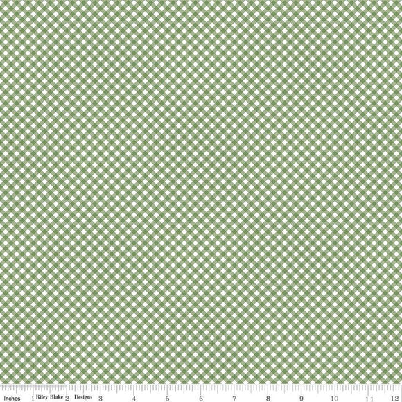 Riley Blake Designs Baby Boy Gingham  C16765-BASIL