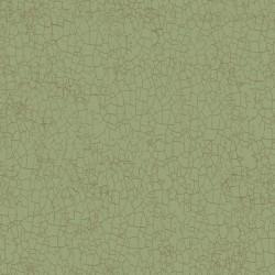 Clothworks Enjoy the Little Things Crackle  Olive Y4065-24