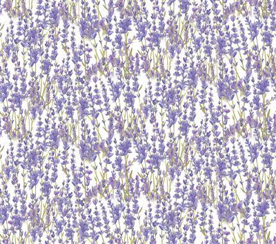 Clothworks Enjoy the Little Things Digital Lavender  Y4062-1
