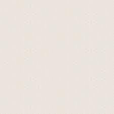Clothworks Honeybee Digital Honeycomb Cream  Y4459-57