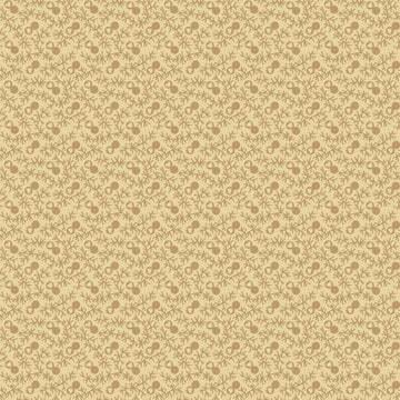 Dashwood Studio New Vintage Sweetheart - Sand NV210-202