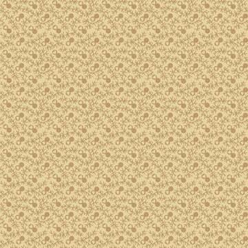 Dashwood Studio New Vintage Sweetheart - Sand NV210-202