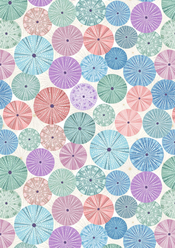 Lewis & Irene Chalki Multi Colored Sea Urchin Shells On Cream A806.1