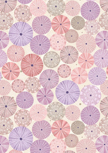 Lewis & Irene Chalki Sea Urchin Shells On Light Sand A806.2