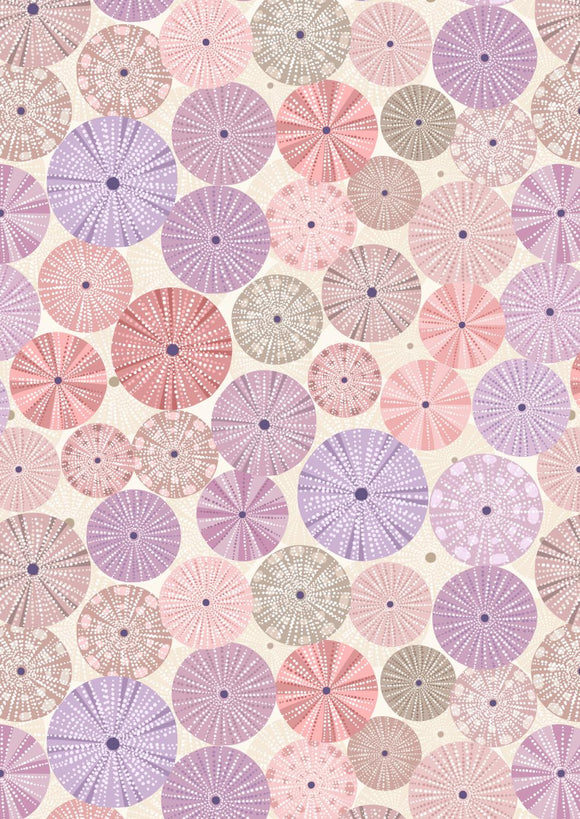 Lewis & Irene Chalki Sea Urchin Shells On Light Sand A806.2