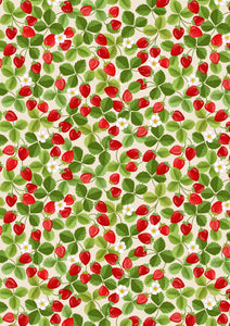 Lewis & Irene Teddy Bears Picnic Strawberries on Cream A794.1