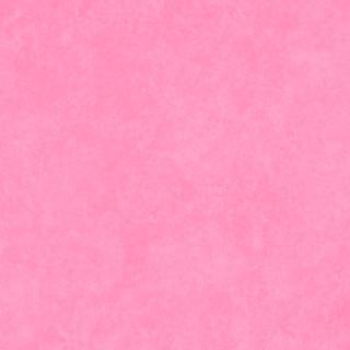 Maywood Studio Shadow Play Flannel  Pink Carnation  MASF513-PSW