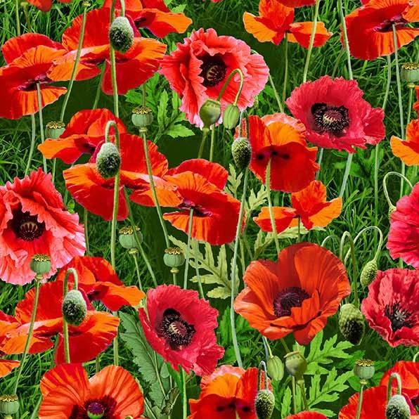 Michael Miller Fabrics Summer Wildflowers Chatty Poppy Ruby