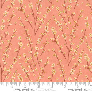 Moda Fabrics Acorn Hollow Apple  30765 17