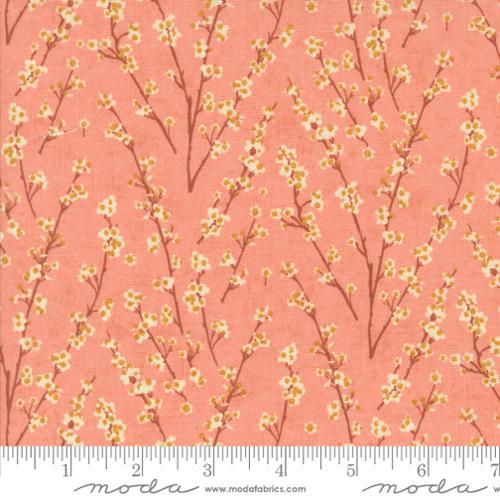 Moda Fabrics Acorn Hollow Apple  30765 17
