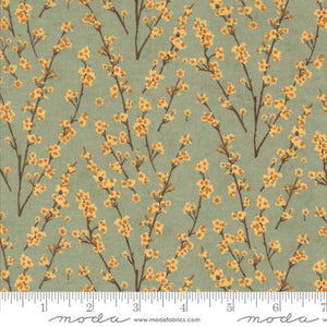 Moda Fabrics Acorn Hollow Sage  30765 18