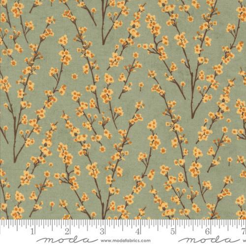 Moda Fabrics Acorn Hollow Sage  30765 18