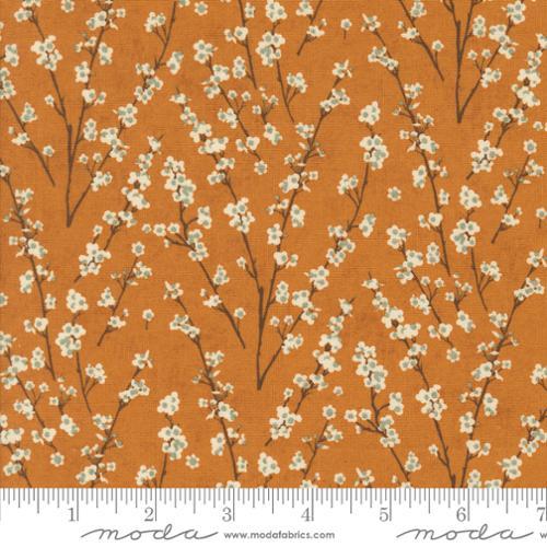 Moda Fabrics Acorn Hollow Yam  30765 16
