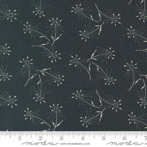Moda Fabrics Blackbirds Nest Black 9750 19