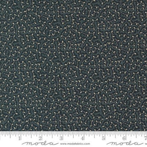 Moda Fabrics Blackbirds Nest Black  9757 19