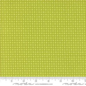 Moda Fabrics Fab-Boo-Lous Green Slime Gingham Blenders Check 22487 16