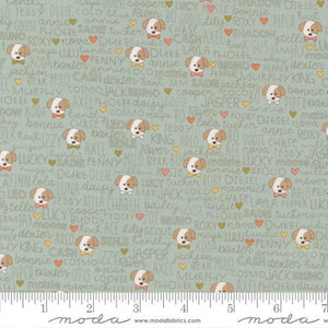 Moda Fabrics Lucky Buddies Sky 55702 12