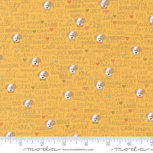 Moda Fabrics Lucky Buddies Sun 55702 14