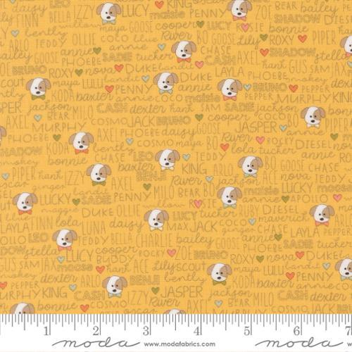 Moda Fabrics Lucky Buddies Sun 55702 14