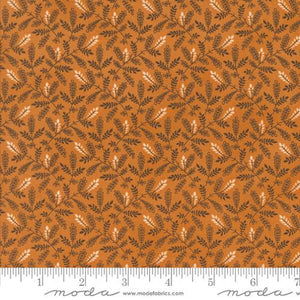 Moda Fabrics Pumpkin Spice Gathering Pumpkin  49297 18