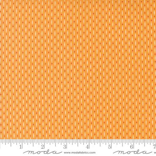 Moda Fabrics Raspberry Summer Apricot  37696 24