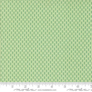 Moda Fabrics Raspberry Summer Mint  37696 25