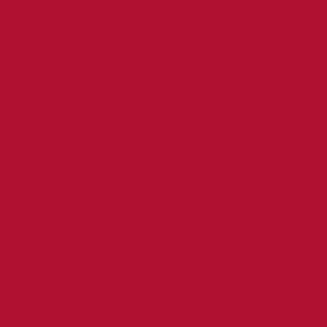 QT Fabrics Colorplay Blood Red  2700 9023