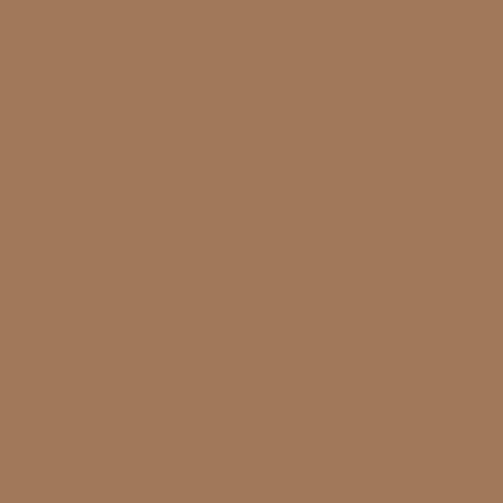 QT Fabrics Colorplay Buckskin  2700 9023