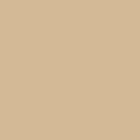 QT Fabrics Colorplay Camel  2700 9023