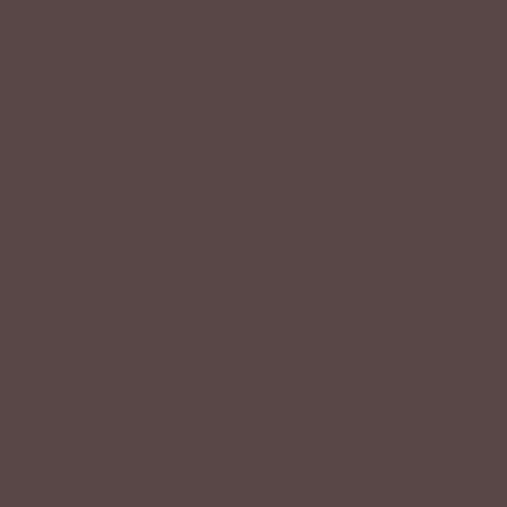 QT Fabrics Colorplay Chocolate  2700 9023