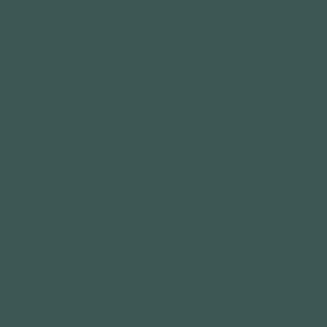 QT Fabrics Colorplay Hunter  2700 9023