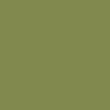 QT Fabrics Colorplay Olive  2700 9023