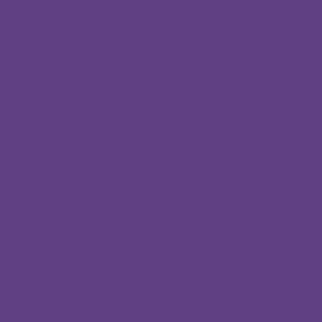 QT Fabrics Colorplay Purple  2700 9023