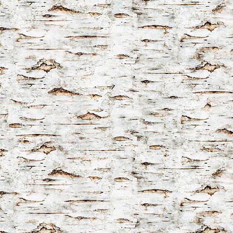 QT Fabrics Earthly Delights Birch Bark Birch  31330E
