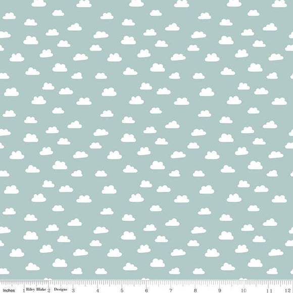 Riley Blake Designs Baby Boy Clouds  C16763-BLUE