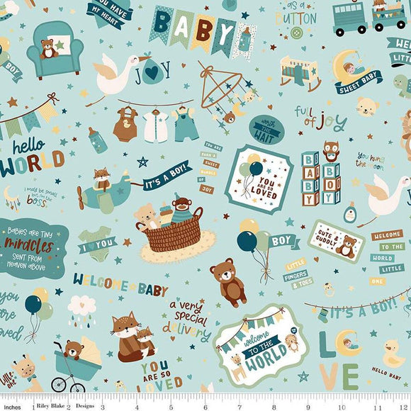 Riley Blake Designs Baby Boy Main  C16760-BLUE