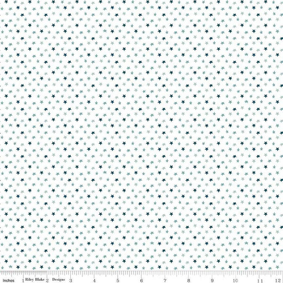 Riley Blake Designs Baby Boy Stars  C16766-WHITE