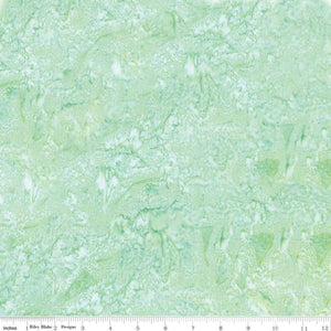 Riley Blake Designs Batiks Hand Dyes Sage BT21000-312