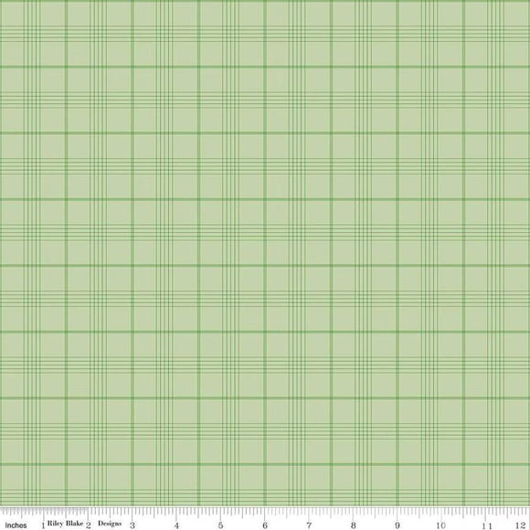 Riley Blake Designs Peter Rabbit & Friends Plaid  Fern C15865-FERN