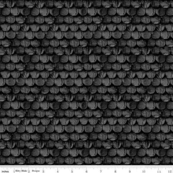 Riley Blake Designs Pumpkin Patch Raise the Rooftop Black C14577-BLACK