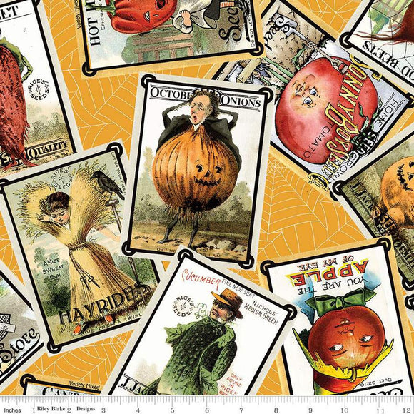 Riley Blake Designs Pumpkin Patch Seed Packs Toss Orange CD14579-ORANGE