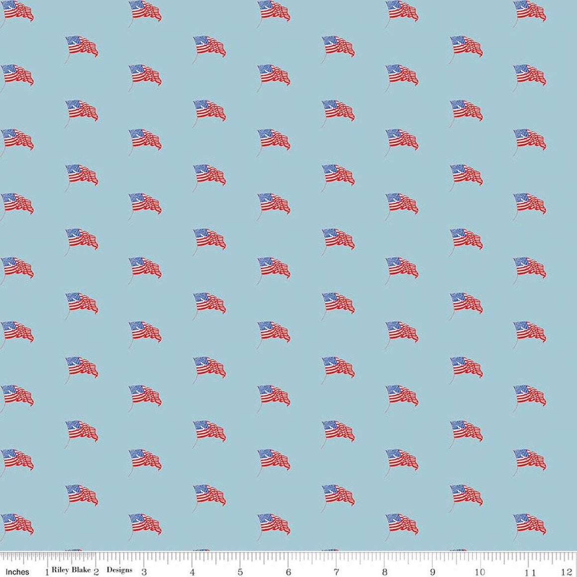 Riley Blake Designs Sew America USA Flags Blue C17353-BLUE – Affinity ...