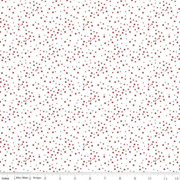 Riley Blake Designs Stars and Stripes Forever Stars White  C15714-WHITE