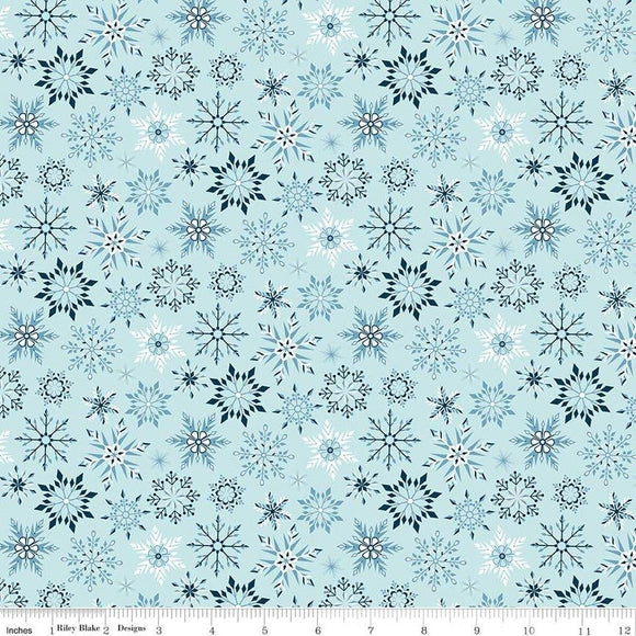 Riley Blake Designs Winter Magic Snowflakes  Aqua  C16787