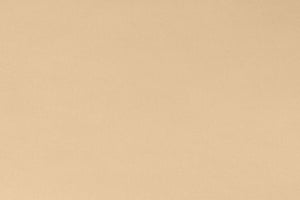 Shannon Fabrics Solid x-wide 90" Cuddle 390  Latte  C390 LATTE